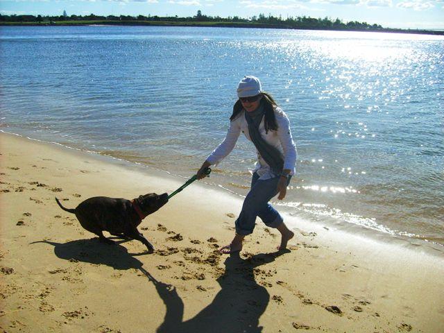 Dog Friendly Beach Newcastle Pet Friendly Places Hunter