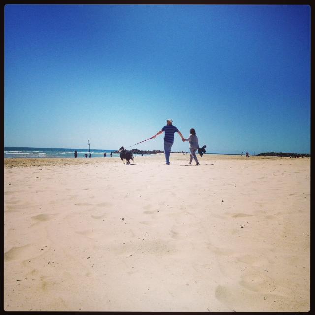 Dog-Friendly Adelaide