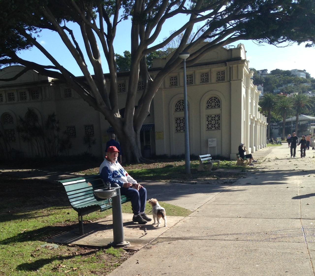Clontarf Beach Dog Friendly Clontarf Beach Dog Friendly