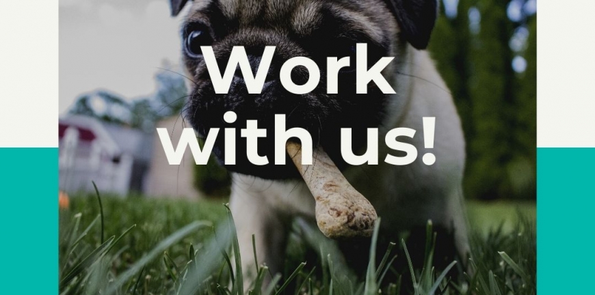 Work With Us