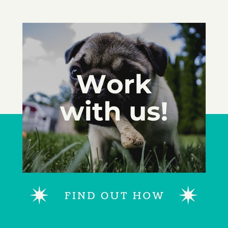 Work With Us
