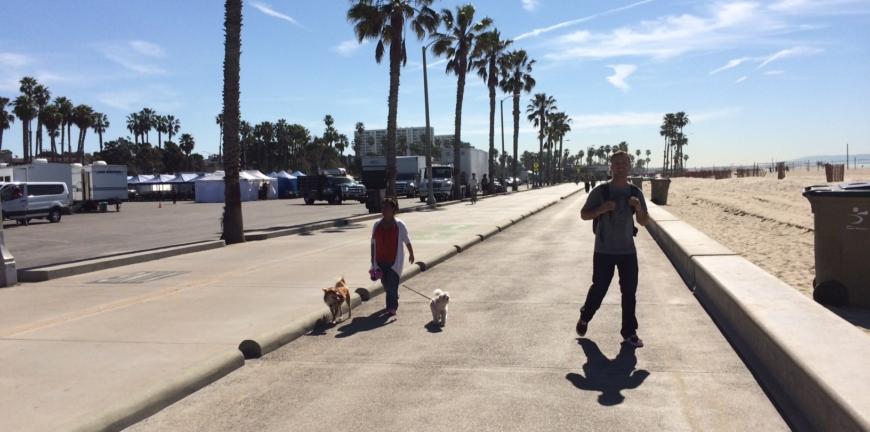 Los Angeles with a pet