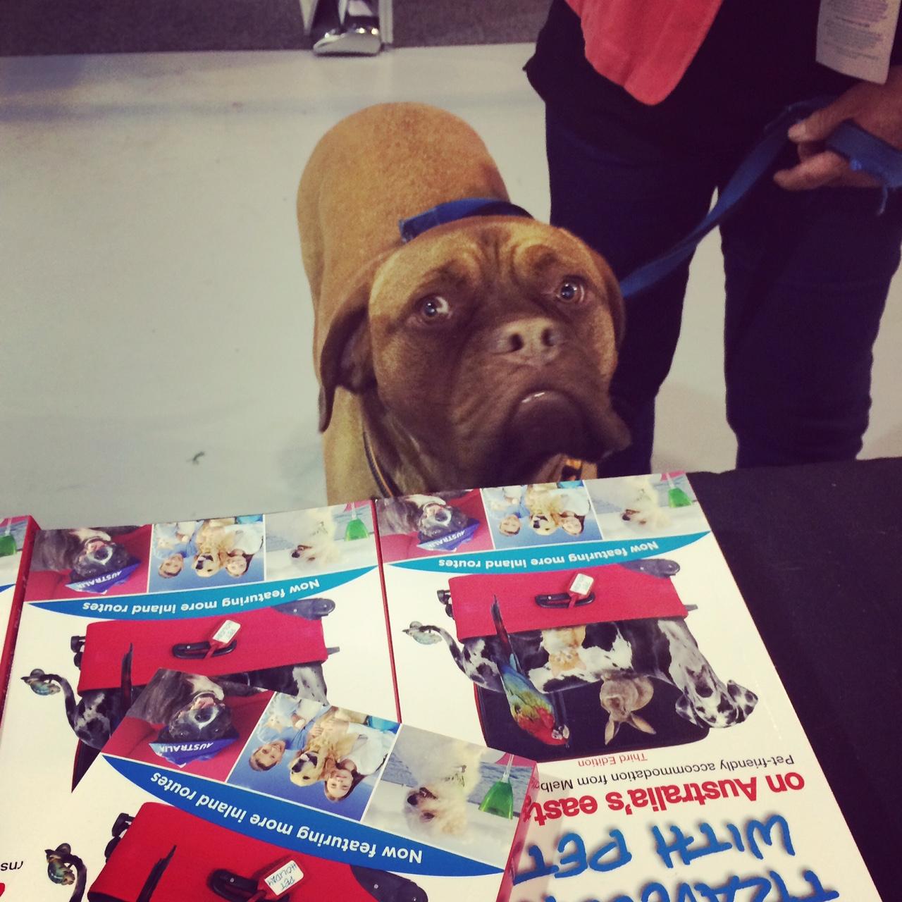 travelling with pets book