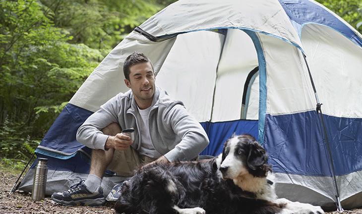 Top 5 Tips for Camping with Dogs