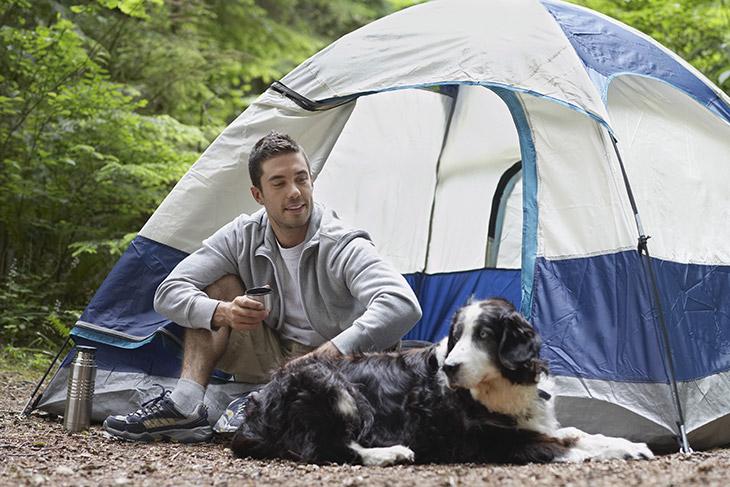 Top 5 Tips for Camping with Dogs
