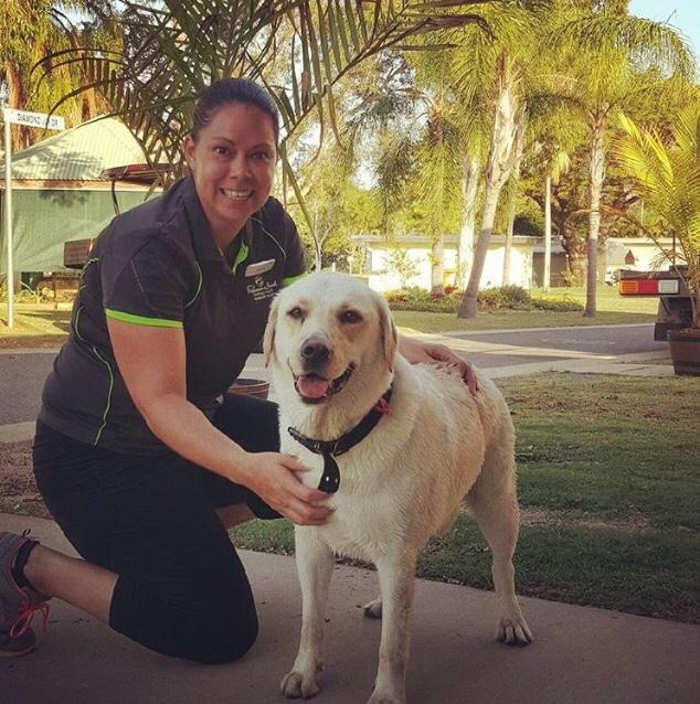 dog friendly camping queensland