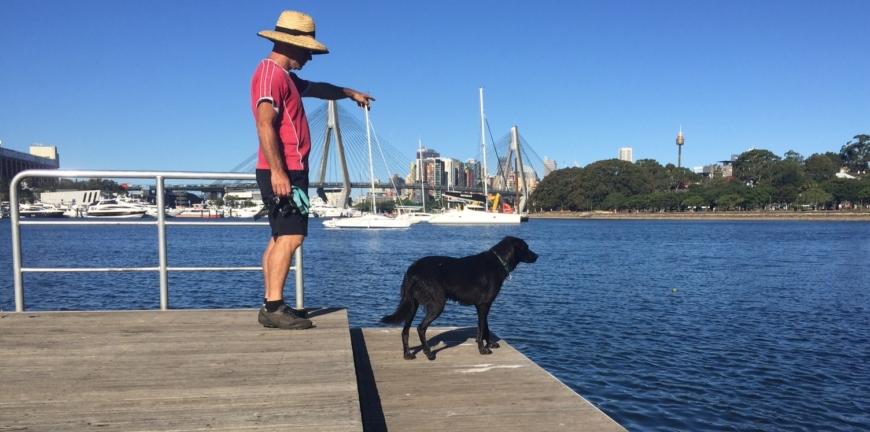pet friendly sydney