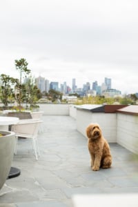 Urban Retreat Brisbane