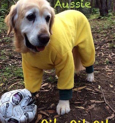 world cup pets