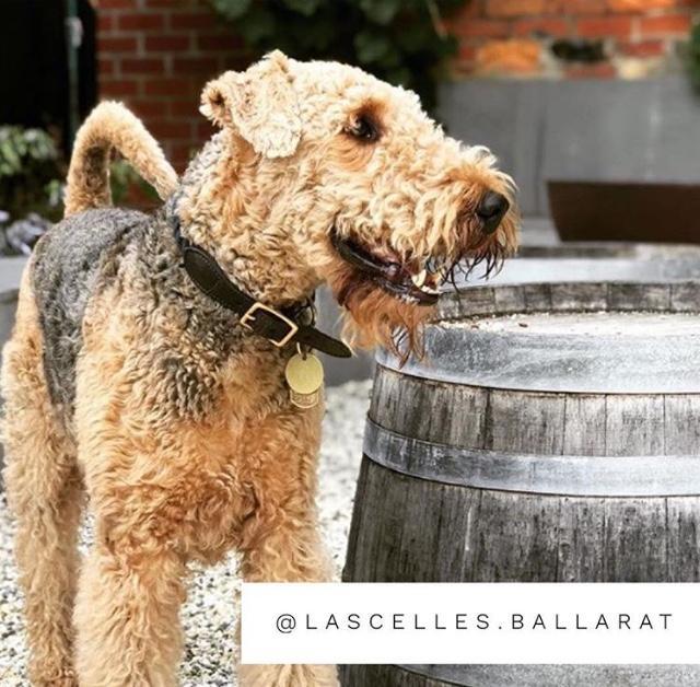 Pet-Friendly Ballarat