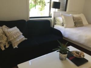 pet friendly Terrigal