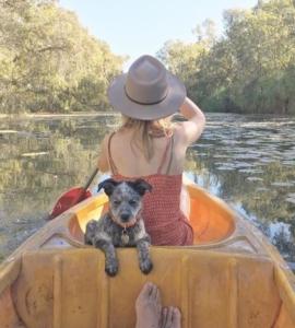Dog Friendly Camping Queensland