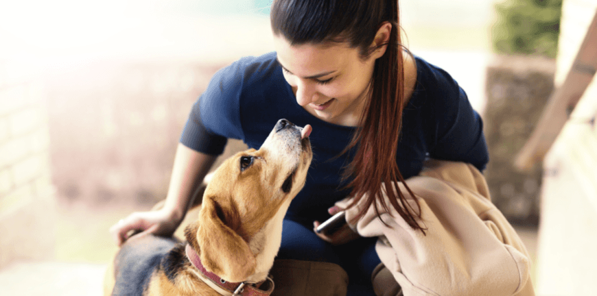 Homes with Soul – pet friendly rentals