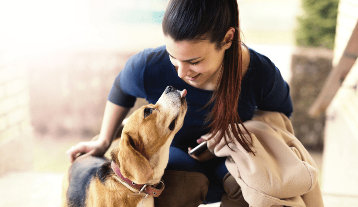 Homes with Soul – pet friendly rentals