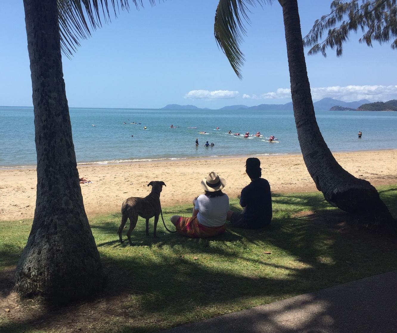 Dog Friendly Camping: The Dos and Don'ts