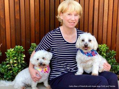 Cathy Beer With Foster Doggies 2 (1)