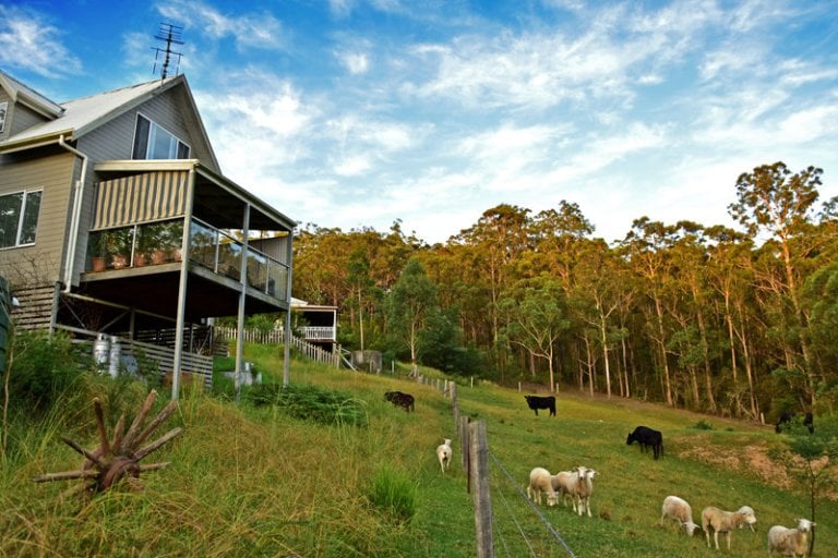 Pet Friendly South Coast NSW