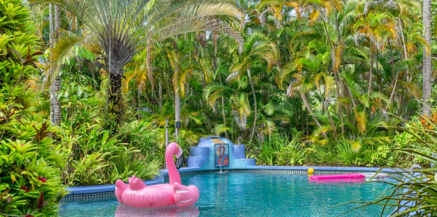 Pink Flamingo Resort Port Douglas 06338