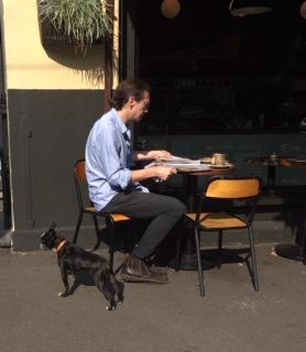  Dog  Friendly Cafes  Near  Me  Sydney Pet Friendly Accommodation