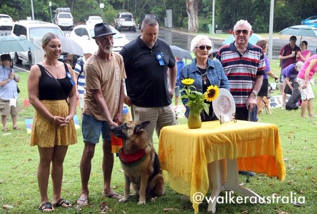 Palm Cove Dog Show