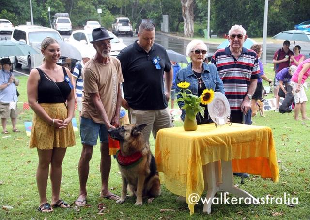 Palm Cove Dog Show