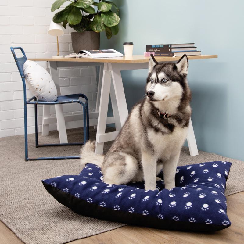 Take Your Dog To Work Day