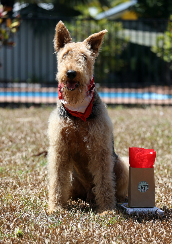 Welcome Pet Travel Pack