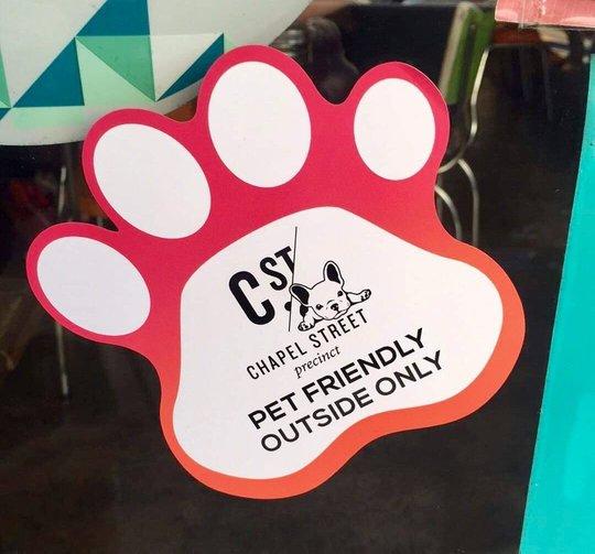 Chapel Street Precinct Take Your Dog Shopping 500