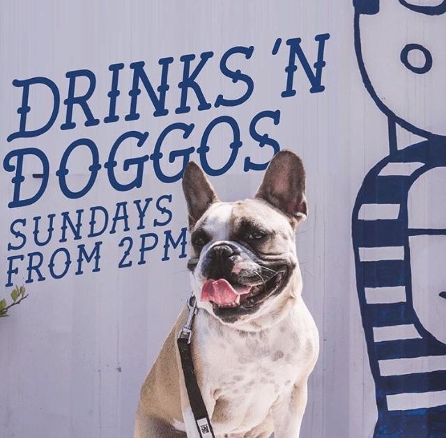 The best doggie days out in Melbourne.