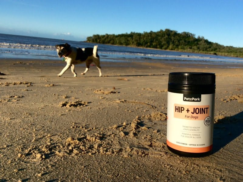 Petz Park Hip + Joint