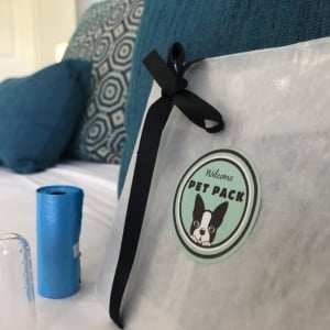 Pet Pamper Pack