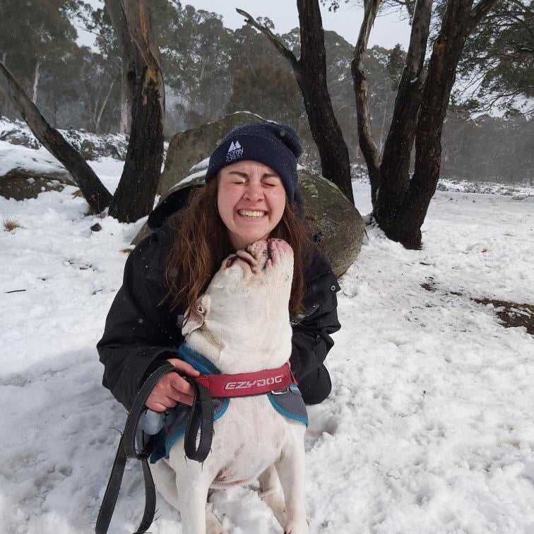 Corin Forest's Snow Dogs