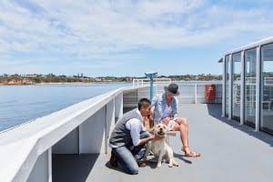 Searoadferries