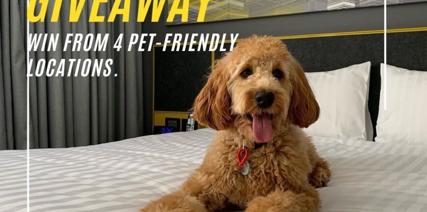 Win PAWfect staycations