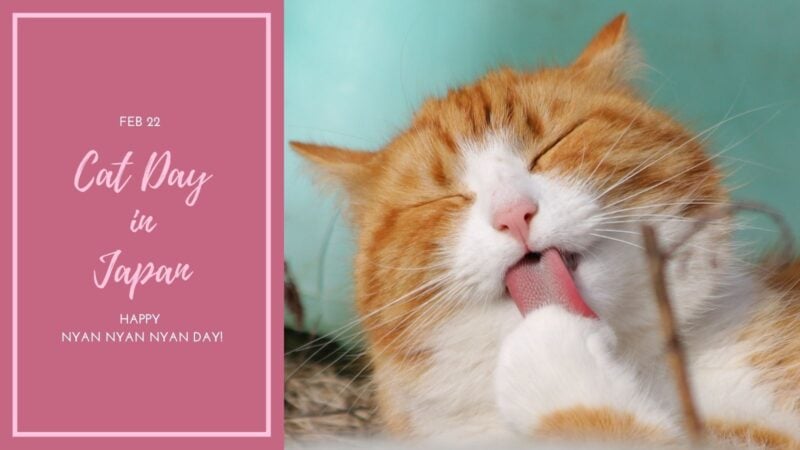 Cat Day Japan