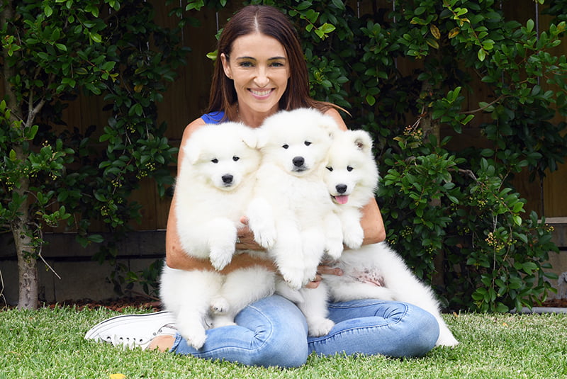Separation Anxiety with Dr Katrina Warren