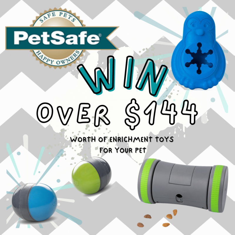 PetSafe® Australia Giveaway