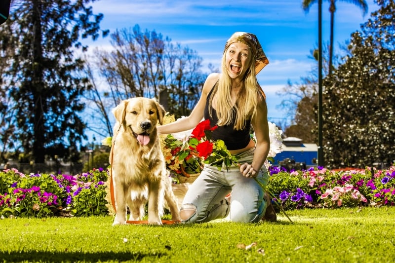Toowoomba Carnival Of Flowers 2021
