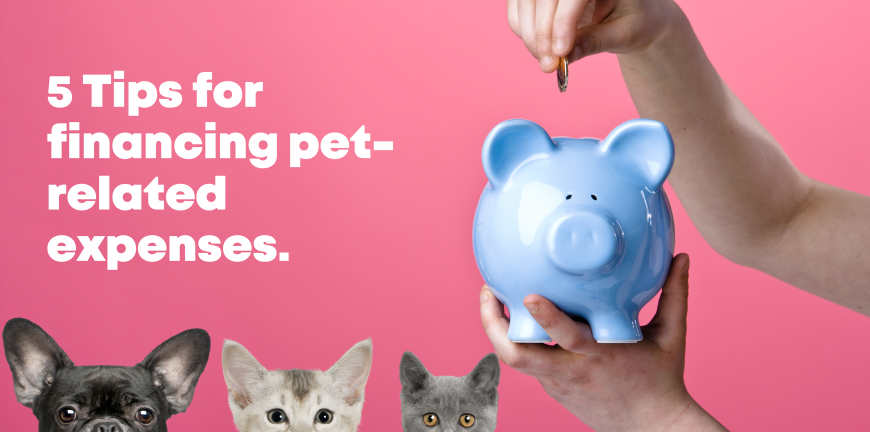 5 Tips for financing pet-related expenses