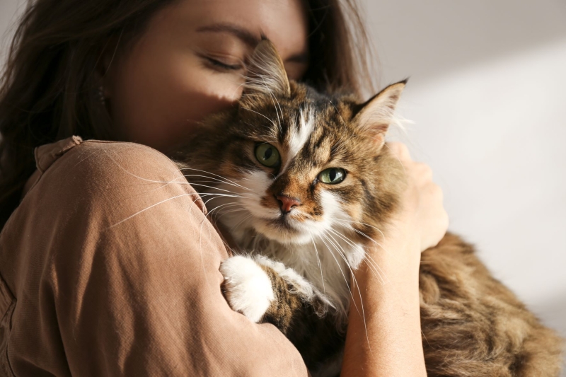 4 Thoughtful Ways To Memorialise Your Pet