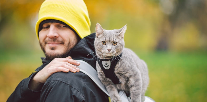 6 Essentials When Traveling With A Kitten