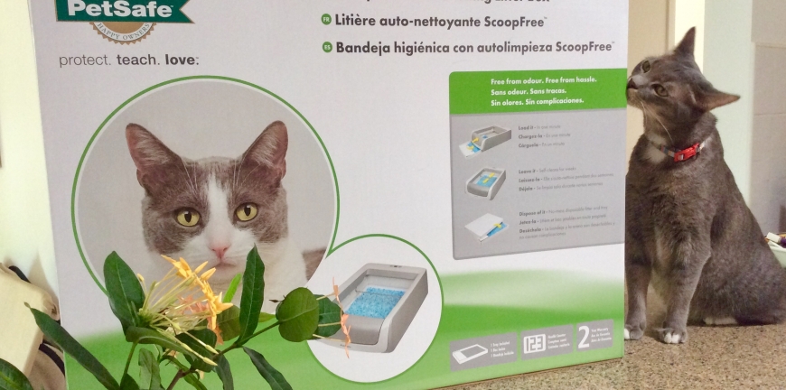 PetSafe ScoopFree Self-Cleaning Litter Box