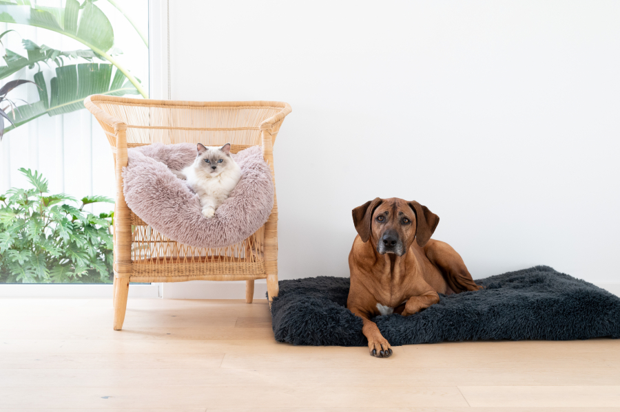 Furlore calming beds