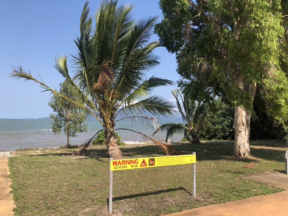 Pet Friendly Cardwell