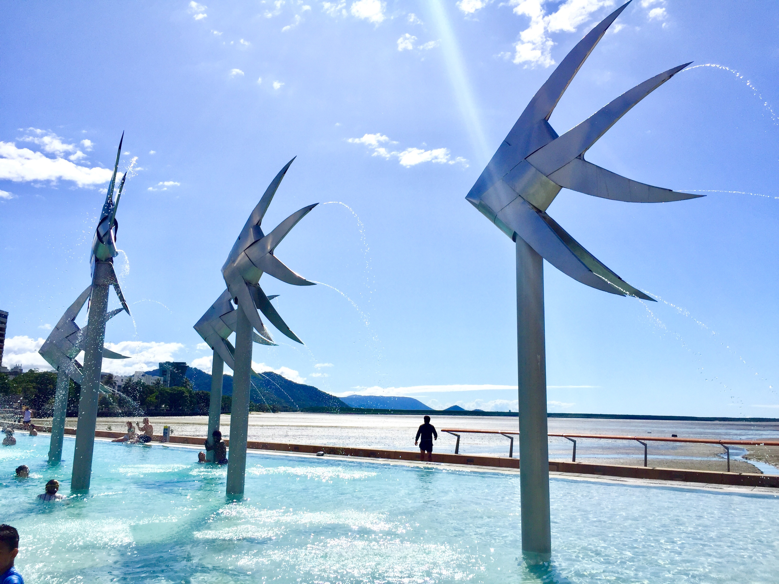 Best Dog-Friendly Cafes in Cairns