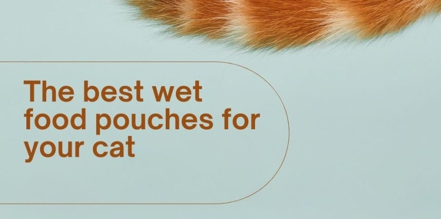 The best wet food pouches for your cat