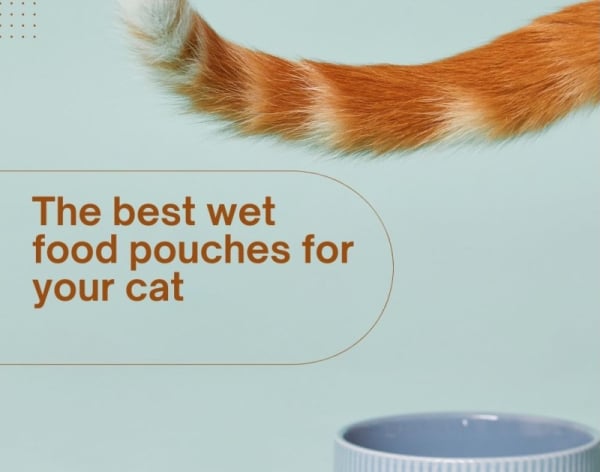The best wet food pouches for your cat