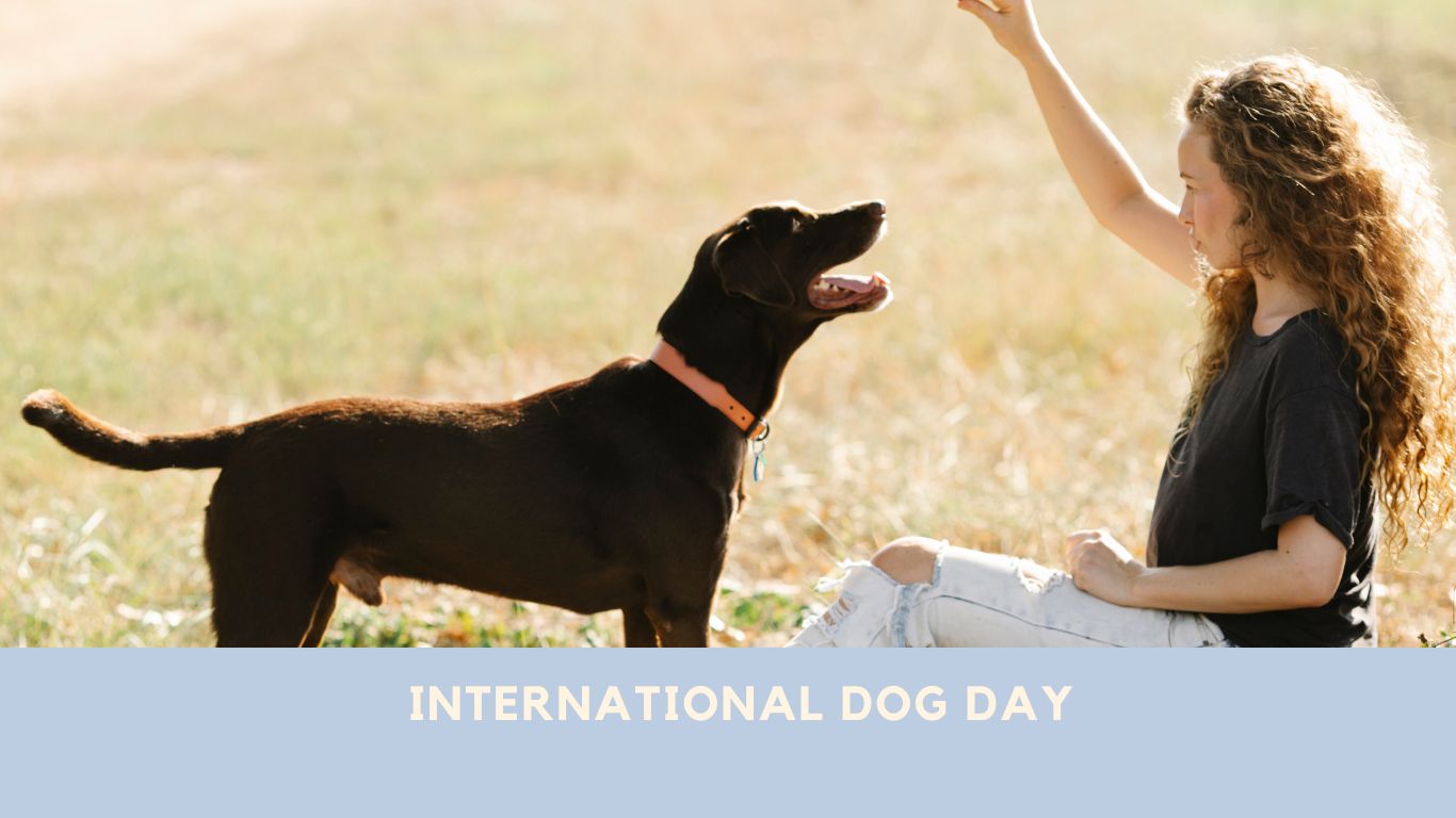International Dog Day