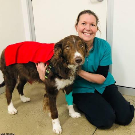 My Vet Rules 2023 Competition