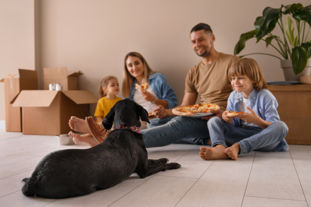 Guide To Moving Pets For Your Australian Adventure